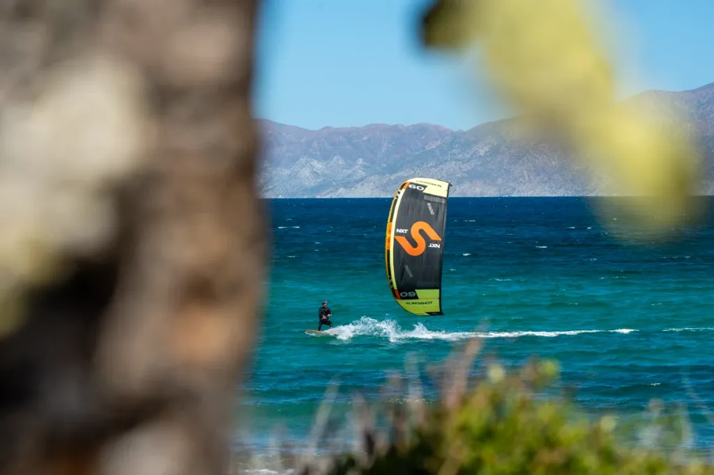 PGG08438 - Grande.webp