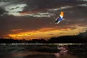 _49R6054.webp
